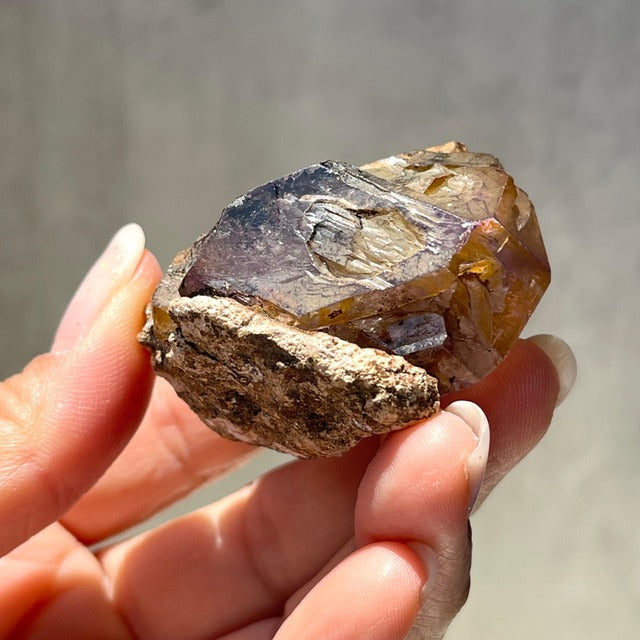 ジンバブエ産【シャンガーンアメジスト】母岩付き スケルタル（骸晶水晶）虹あり｜ファントム 鉱物 天然石 パワーストーン
