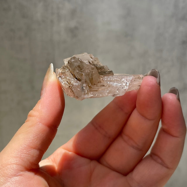 ジンバブエ産【スケルタルクォーツ】フェンスタークォーツ（窓水晶）鉱物 天然石 パワーストーン