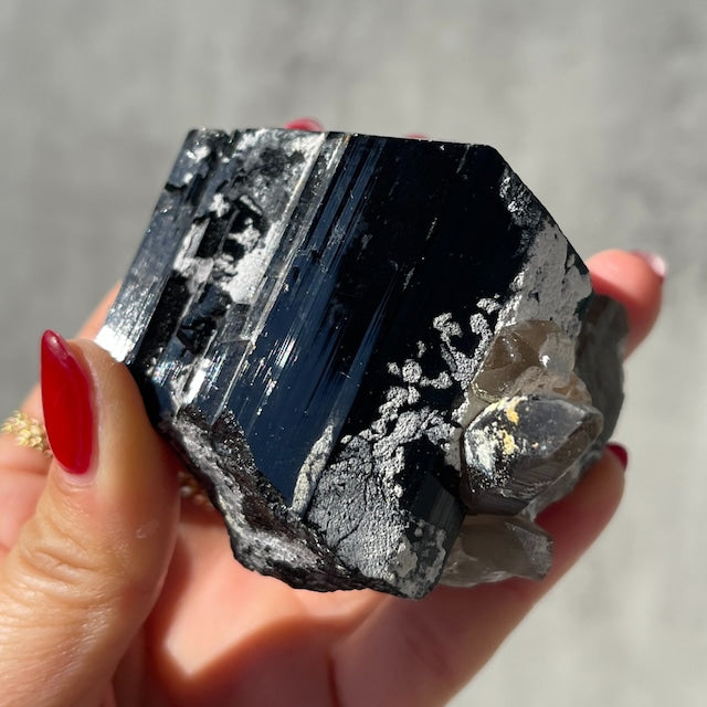 ナミビア・エロンゴ地区産【ブラックトルマリン×スモーキークォーツ 共生】メルセデス・ベンツターミネーション 鉱物 天然石 パワーストーン
