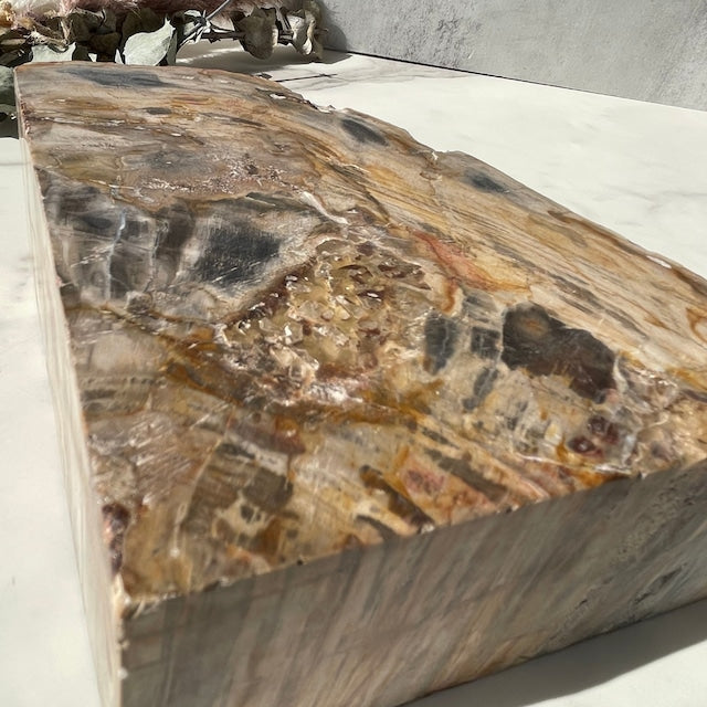 【ペトリファイドウッド】ブックエンド（2872g）鉱物 天然石 パワーストーン 樹木の化石 珪化木