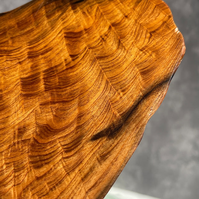 屋久杉 プレート　170×125×8mm　国内正規品　一点物　天然木　インテリア