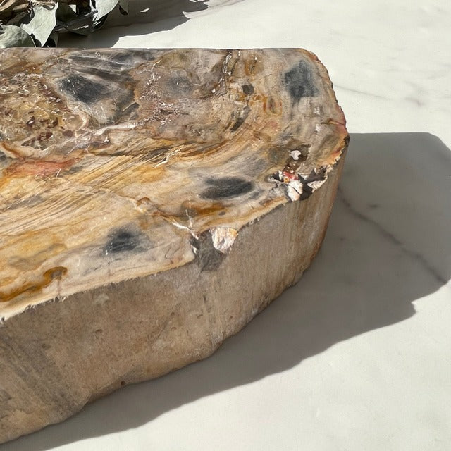 【ペトリファイドウッド】ブックエンド（2872g）鉱物 天然石 パワーストーン 樹木の化石 珪化木