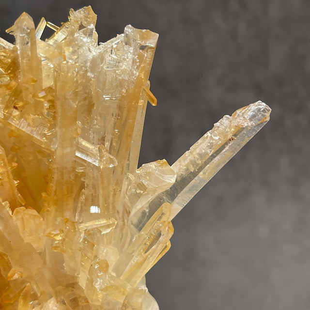 ネパール・ダーディン産 ゴールデンヒーラークォーツ クラスター｜ヒマラヤ水晶｜イリデッセンス強