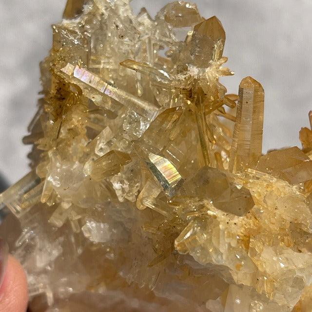 ネパール・ダーディン産 ゴールデンヒーラークォーツ クラスター｜ヒマラヤ水晶｜イリデッセンス強