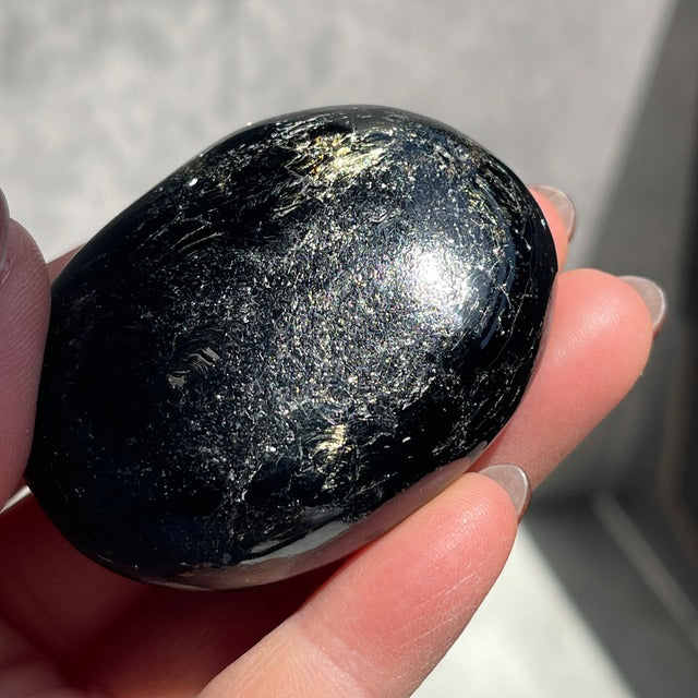 インド産 ブラックマイカ パームストーン ゴールドの輝き 一点物