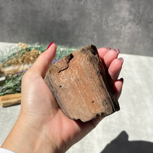 ジンバブエ・ゴクウェ産【ペトリファイドウッド（珪化木）】（樹木の化石）鉱物 天然石 パワーストーン