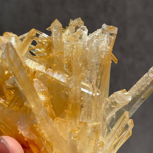 ネパール・ダーディン産 ゴールデンヒーラークォーツ クラスター｜ヒマラヤ水晶｜イリデッセンス強