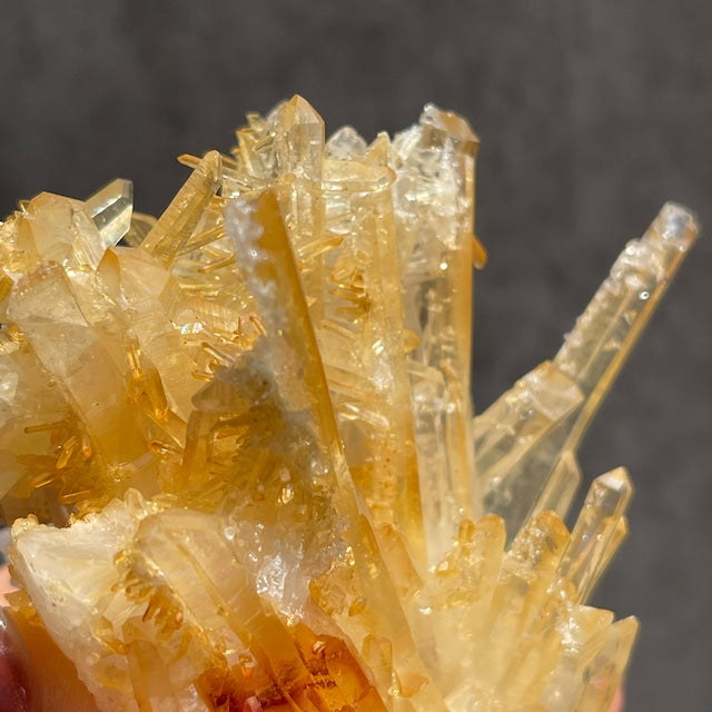 ネパール・ダーディン産 ゴールデンヒーラークォーツ クラスター｜ヒマラヤ水晶｜イリデッセンス強