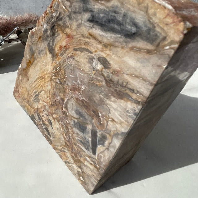 【ペトリファイドウッド】ブックエンド（2872g）鉱物 天然石 パワーストーン 樹木の化石 珪化木