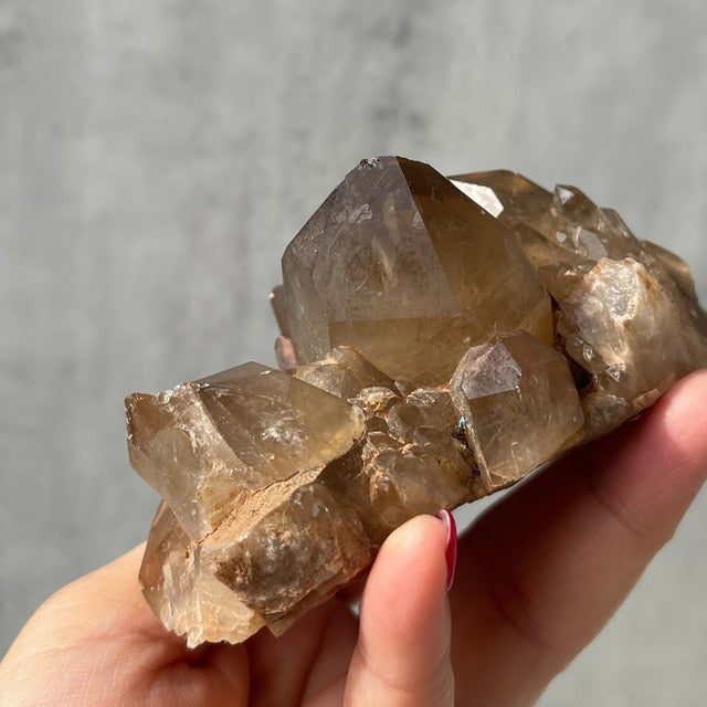 コンゴ産【クンダリーニシトリン（非加熱 Citrine）】スモーキー｜クラスター 鉱物 天然石 パワーストーン