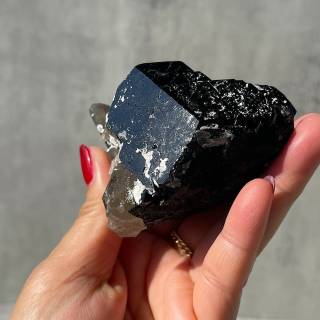 ナミビア・エロンゴ地区産【ブラックトルマリン×スモーキークォーツ 共生】メルセデス・ベンツターミネーション 鉱物 天然石 パワーストーン
