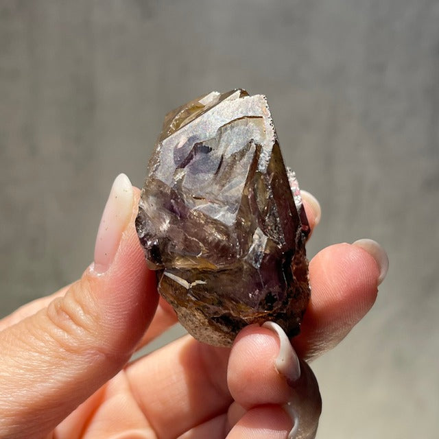 ジンバブエ産【シャンガーンアメジスト】母岩付き スケルタル（骸晶水晶）虹あり｜ファントム 鉱物 天然石 パワーストーン