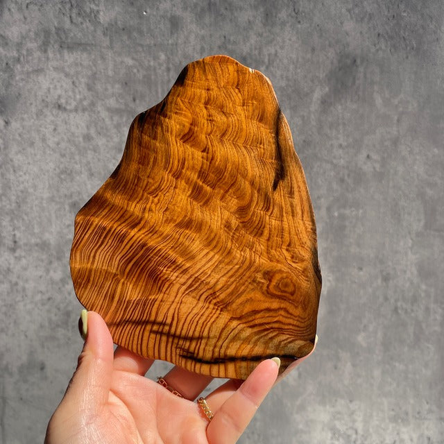 屋久杉 プレート　170×125×8mm　国内正規品　一点物　天然木　インテリア