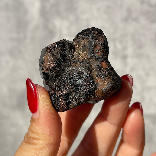 マダガスカル産 アルマンディン・ガーネット 原石｜黒に潜む深紅の結晶｜オールドストック 一点もの