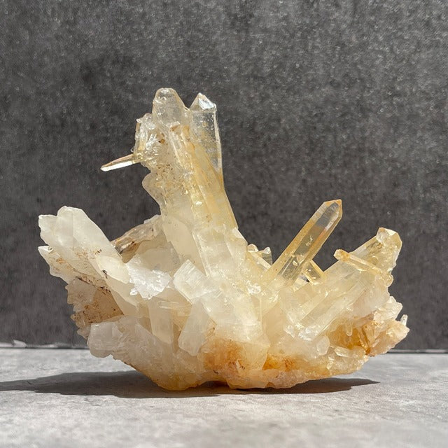 ネパール・ダーディン産 ゴールデンヒーラークォーツ クラスター｜ヒマラヤ水晶｜イリデッセンスあり